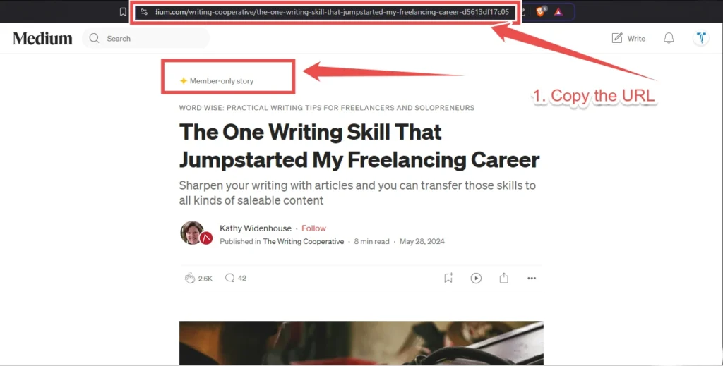 Read Medium Premium article free: Copy the URL